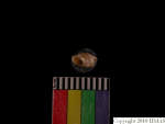 L_V22d6724 J3q338.2 T922 dM sh f259
